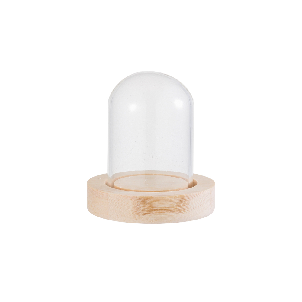 Vase Decor - Feestverlichting Home Decor Terrarium Transparante fles