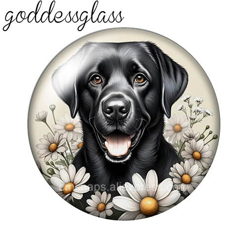 Schattige Honden Midden in de  - Vase Decor recensie en prijs
